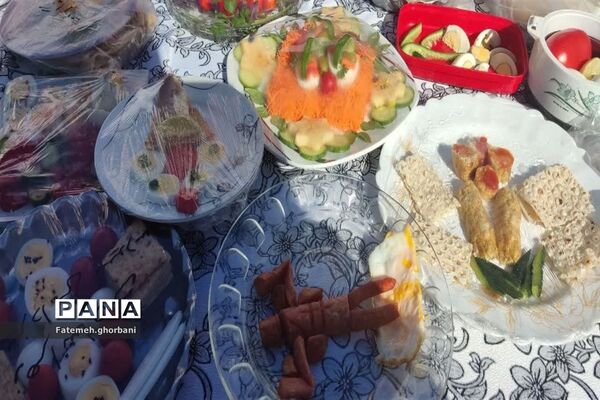 روز جهانی تخم مرغ