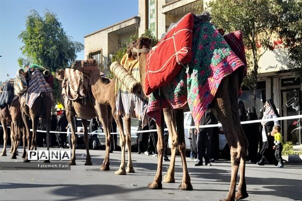 کاروان نمادین ورود حضرت معصومه(س) به قم