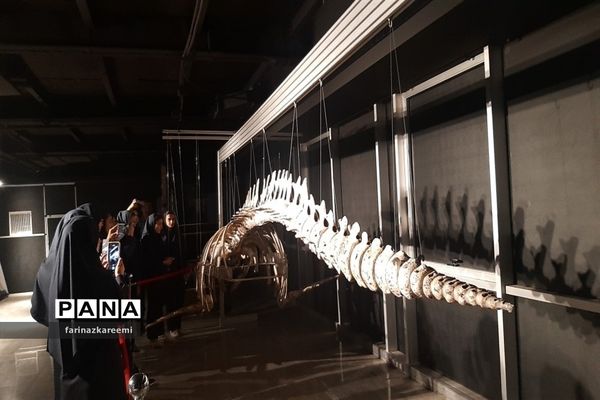 اردوی یک‌روزه علمی_تربیتی دانش‌آموزان دبیرستان هفده شهریور شهرستان فیروزکوه در پارک علوم و فناوری پردیس