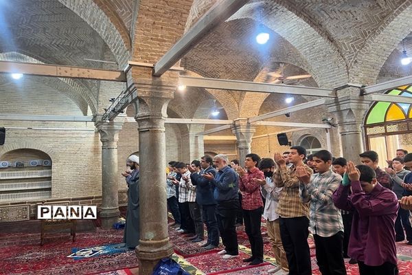 پویش نورچشم در منطقه ۱۱ شهر تهران