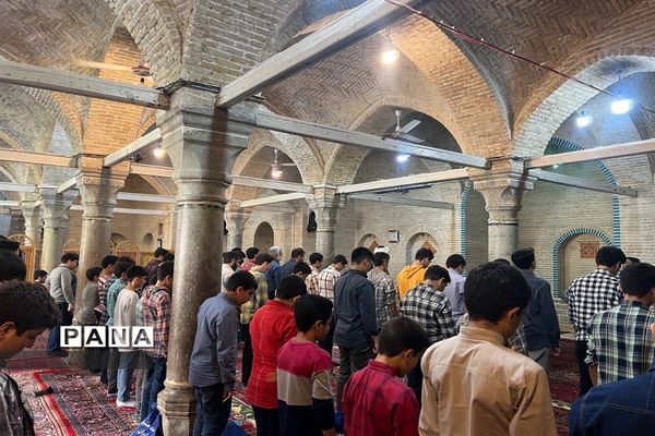 پویش نورچشم در منطقه ۱۱ شهر تهران