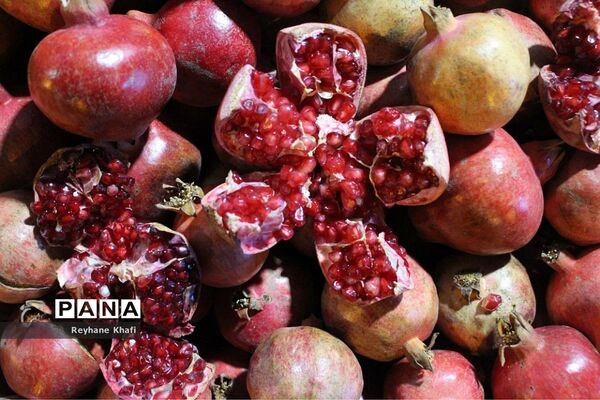 چهارمین جشنواره انار در روستای هدف گردشگری توچال