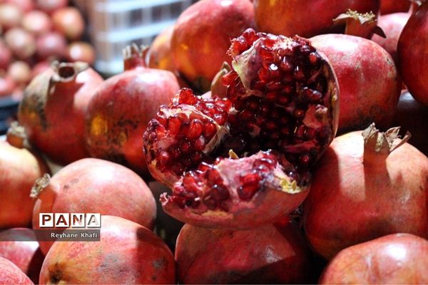 چهارمین جشنواره انار در روستای هدف گردشگری توچال