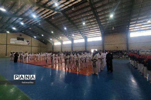 برگزاری فستیوال کاراته و خانواده به‌مناسبت هفته تربیت‌بدنی و ورزش در فیروزکوه