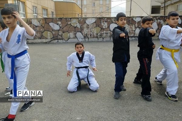 المپیاد ورزش‌های رزمی در دبستان دانش رودهن