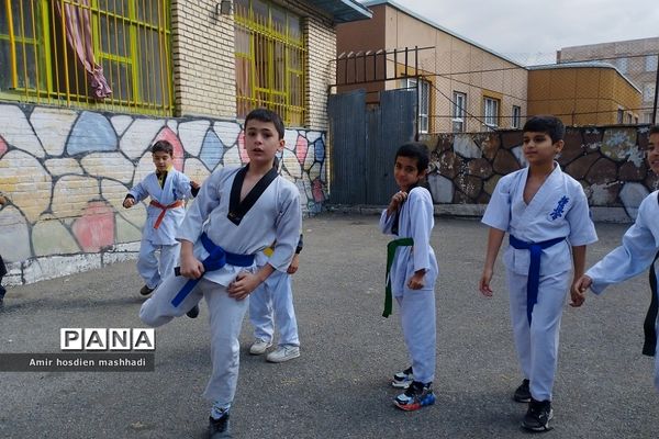 المپیاد ورزش‌های رزمی در دبستان دانش رودهن