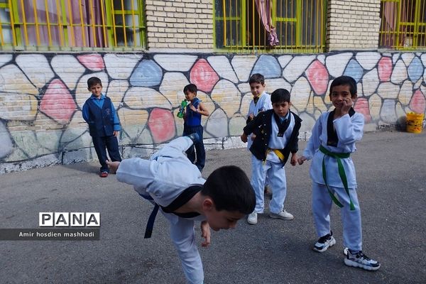 المپیاد ورزش‌های رزمی در دبستان دانش رودهن