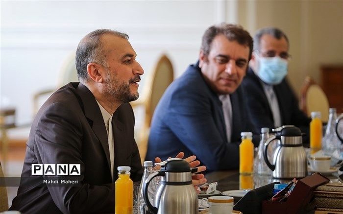 امیرعبداللهیان با وزیر خارجه نیجر دیدار کرد