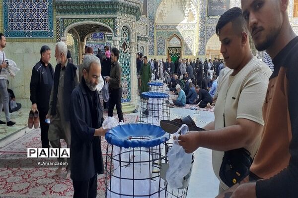 شهادت بانوی آب و آئینه حضرت فاطمه معصومه (س)