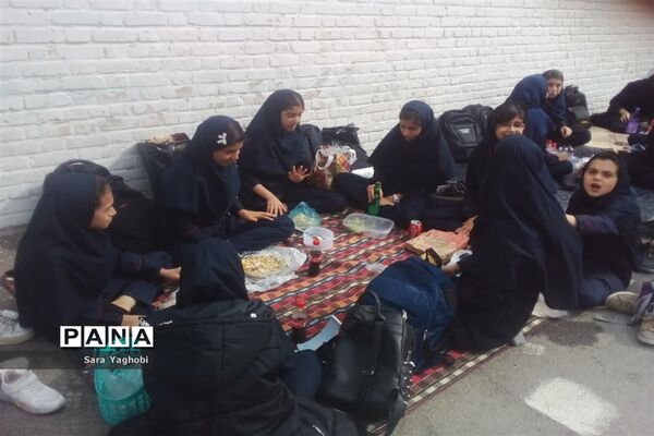 جشنواره غذای سالم در مدرسه عارفه شهر اراک