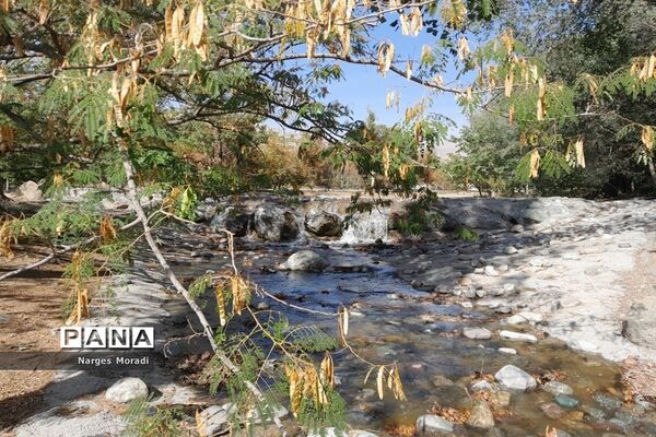 باغ گیاه‌شناسی ملی ایران