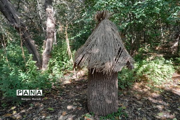 باغ گیاه‌شناسی ملی ایران