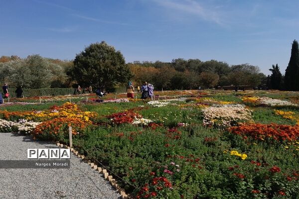 باغ گیاه‌شناسی ملی ایران