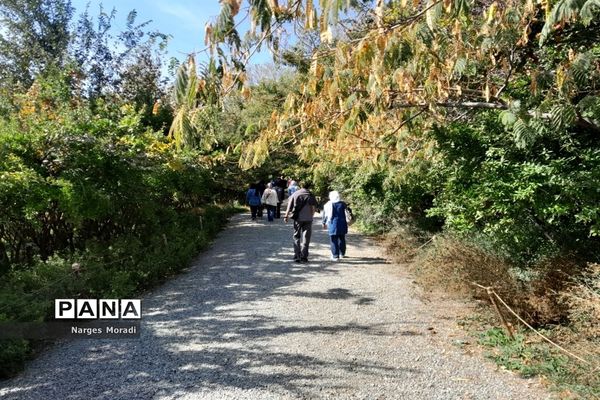 باغ گیاه‌شناسی ملی ایران