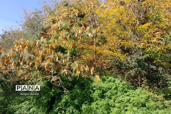 باغ گیاه‌شناسی ملی ایران