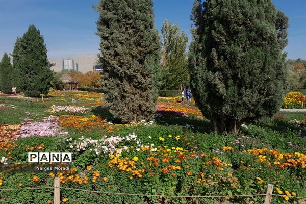 باغ گیاه‌شناسی ملی ایران