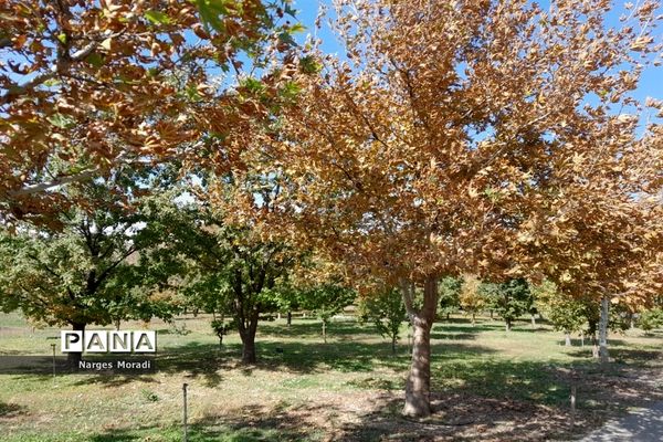 باغ گیاه‌شناسی ملی ایران