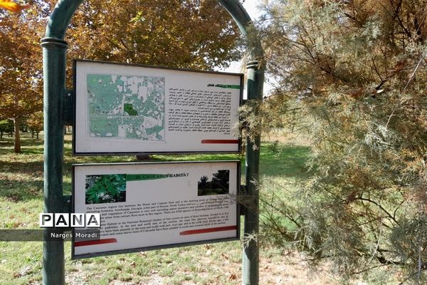 باغ گیاه‌شناسی ملی ایران