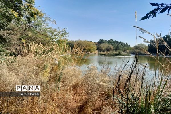 باغ گیاه‌شناسی ملی ایران