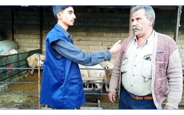 پرورش گوسفند، سنتی دیرین در چهارمحال وبختیاری است/ فیلم