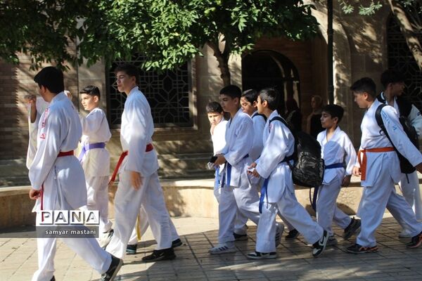 همایش  پیاده‌روی خانوادگی در ساری