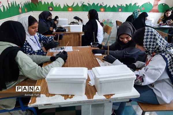 کارگاه آموزشی «استم »با رویکرد پرورش مهارت‌های تفکر و خلاقیت در اسلامشهر