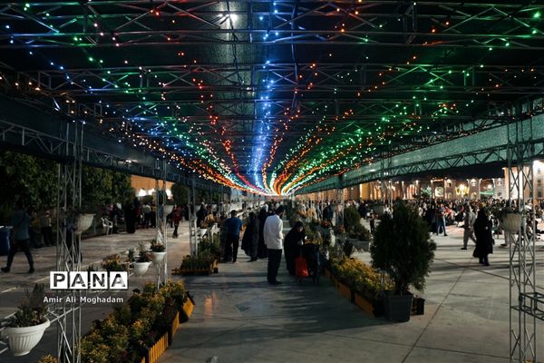 ولادت حضرت رضا (ع) در مشهد مقدس