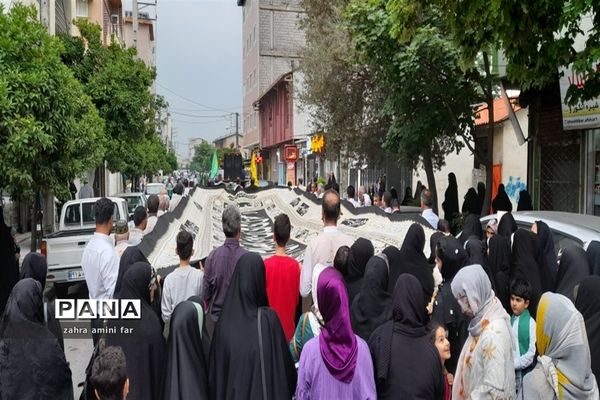 جشن میلاد علی ابن موسی الرضا در نور