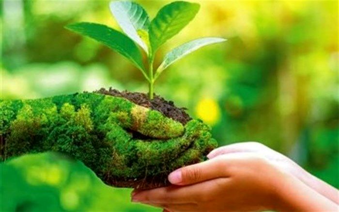 مدرسه، خاستگاه آموزش مفهوم مسئول بودن و رفتار درست با محیط زیست است