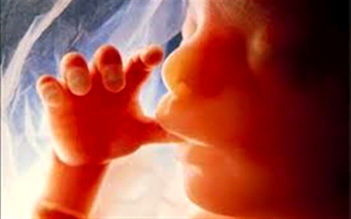 توزیع مکمل‌های غذایی ویژه زنان باردار در مناطق محروم
