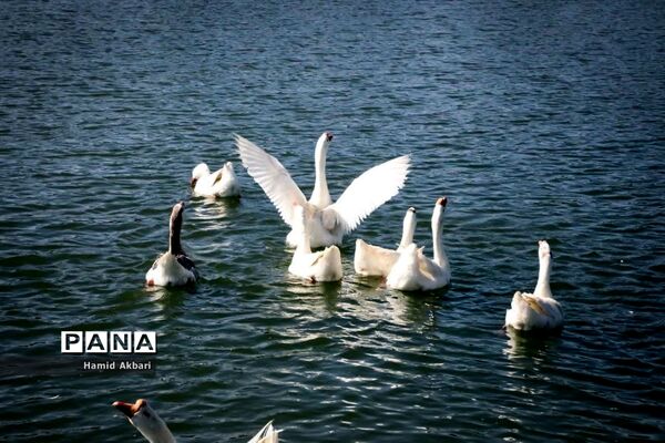 بازدید استاندار آذربایجان‌ غربی از مکان‌های تاریخی ارومیه