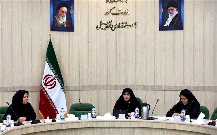 جوانی جمعیت و کسب‌وکار خانواده‌محور، از محور‌های مهم حوزه بانوان و خانواده در اردبیل