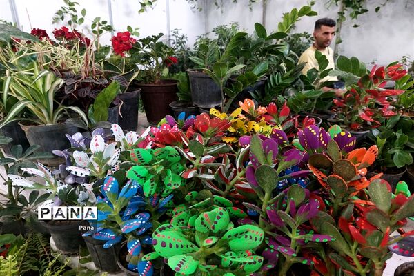 نمایشگاه گل و گیاه در تبریز
