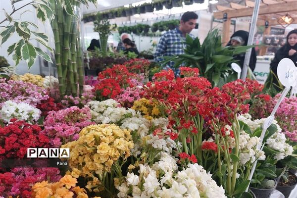 نمایشگاه گل و گیاه در تبریز