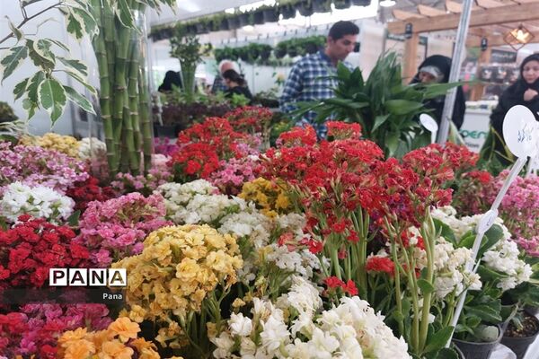 نمایشگاه گل و گیاه در تبریز