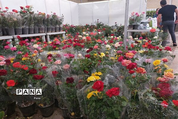 نمایشگاه گل و گیاه در تبریز