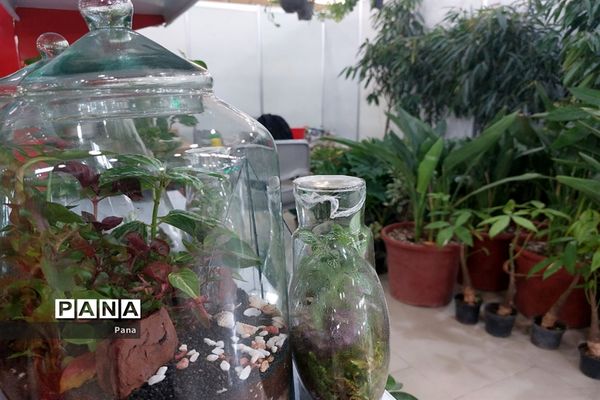 نمایشگاه گل و گیاه در تبریز
