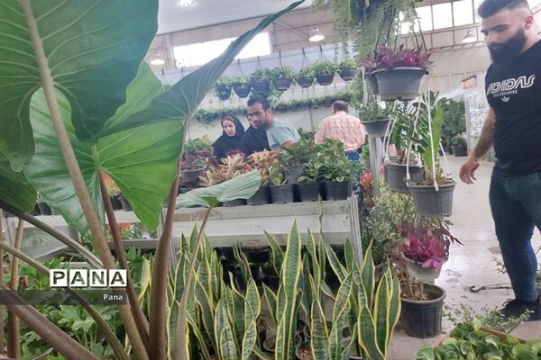نمایشگاه گل و گیاه در تبریز