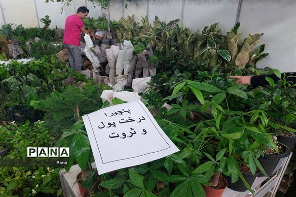 نمایشگاه گل و گیاه در تبریز