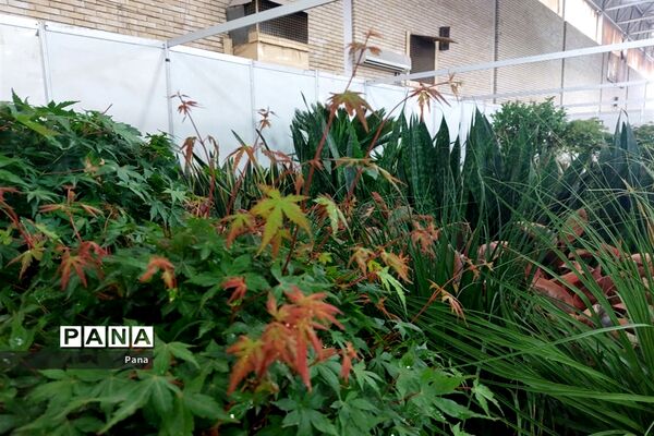 نمایشگاه گل و گیاه در تبریز