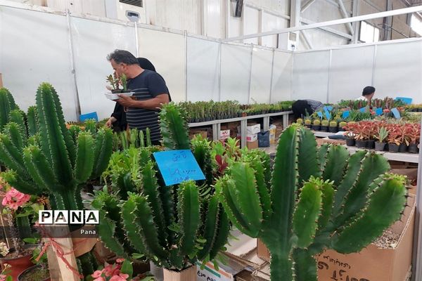 نمایشگاه گل و گیاه در تبریز