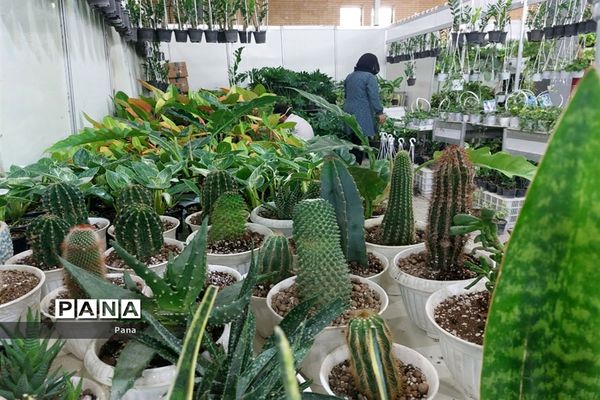 نمایشگاه گل و گیاه در تبریز