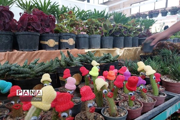 نمایشگاه گل و گیاه در تبریز