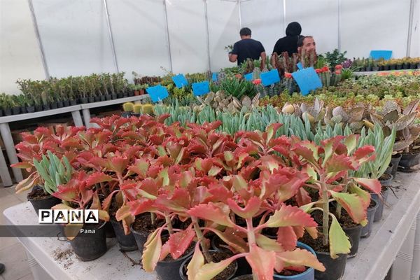 نمایشگاه گل و گیاه در تبریز
