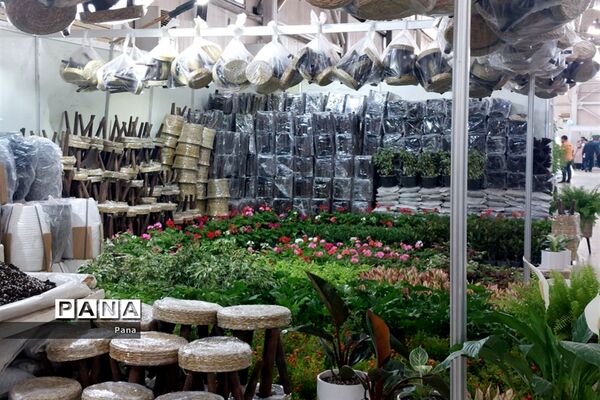 نمایشگاه گل و گیاه در تبریز