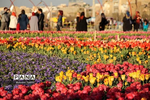 گل و گیاه در طبیعت زیبای ارومیه