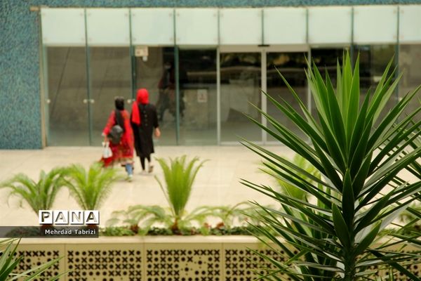 گل و گیاه در طبیعت زیبای ارومیه