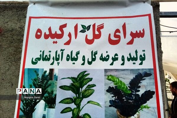 احداث اولین گلخانه روستای باقرآباد قم در روز ملی گل و گیاه