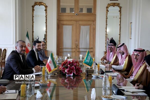 دیدار وزرای خارجه عربستان و ایران