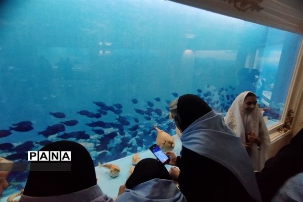 بازدید دانش آموزان دختر زیارت‌اولی استان اصفهان از موزه آستان قدس رضوی